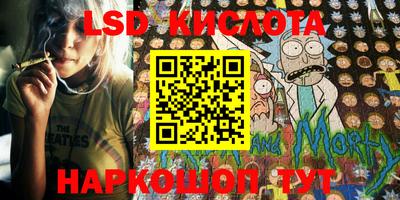 spice Донской