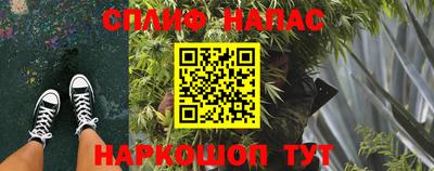 прущие грибы Донецк