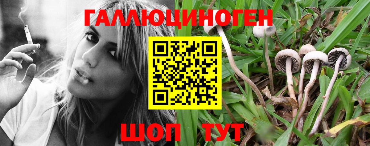 Галлюциногенные грибы ЛСД  Вход с VPN  Майский 