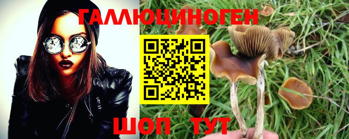 Галлюциногенные грибы GOLDEN TEACHER Майский